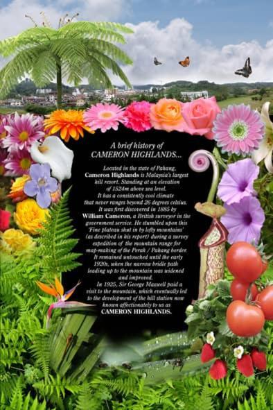 Hillview Inn Cameron Highlands Promo Танах-Рата Экстерьер фото